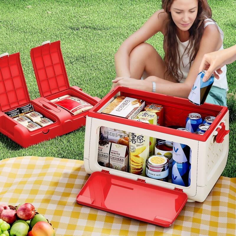 Disney Genuine Authorized Outd - Outdoor Camping Movies ulasan dan harga